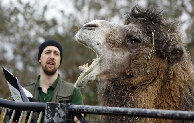 Зоообозрение